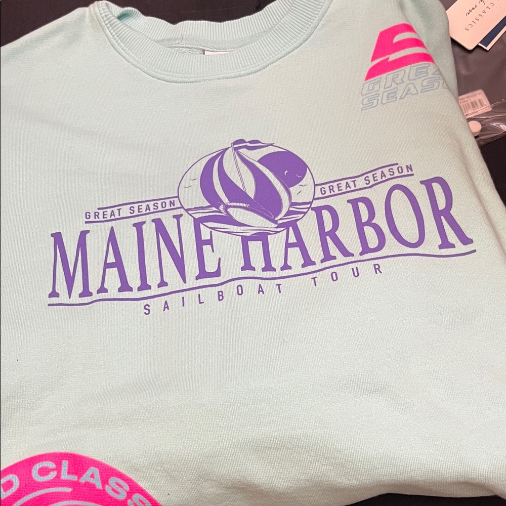 Zara Mint Green Sweatshirt with Purple Print